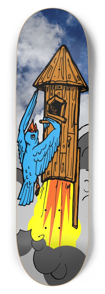 bird rocket