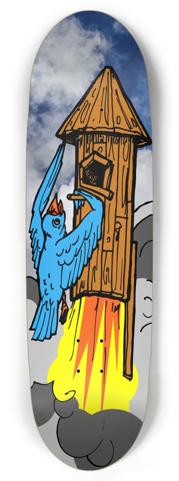 bird rocket