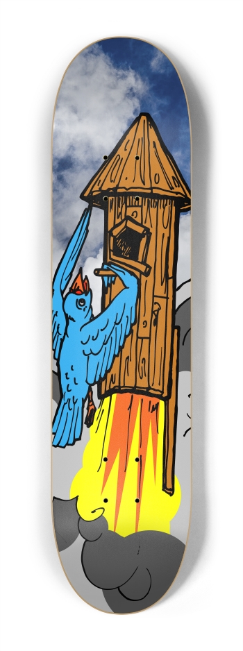 bird rocket