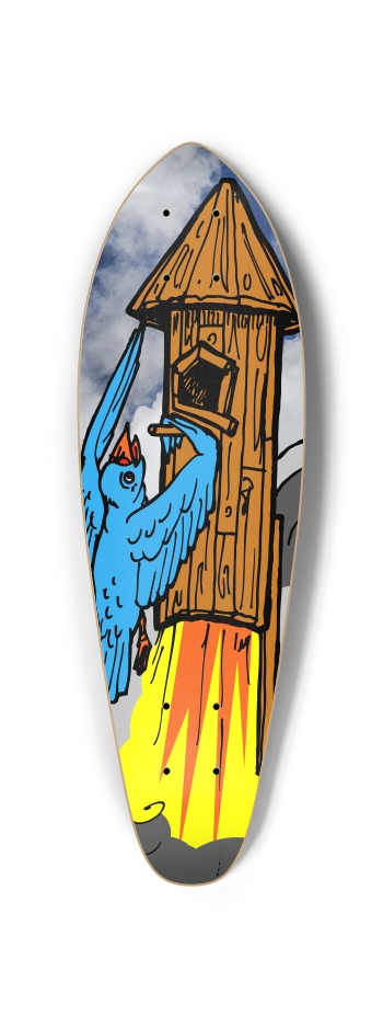 bird rocket