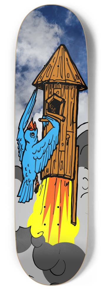 bird rocket