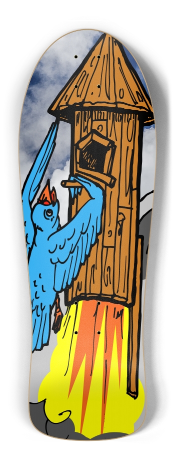 bird rocket