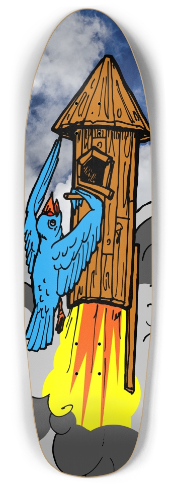 bird rocket