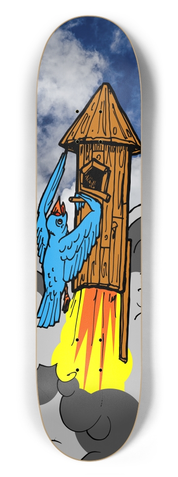 bird rocket