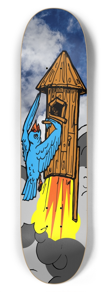 bird rocket