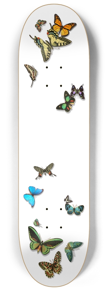Butterflies