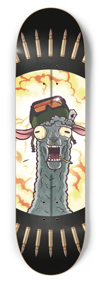 Llama Armor