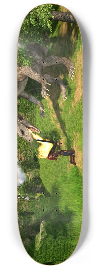 Dragon Fight