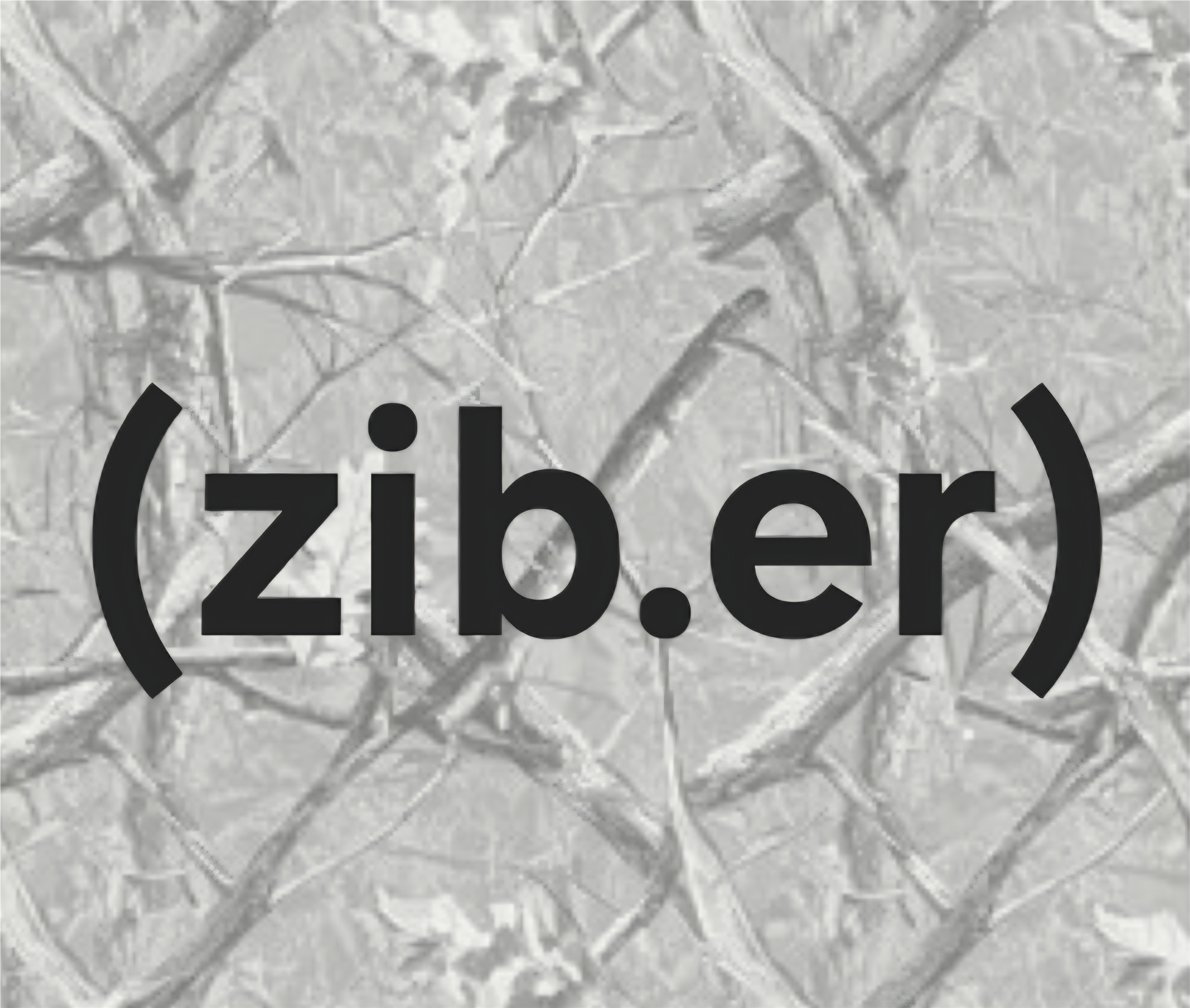 ZIBER