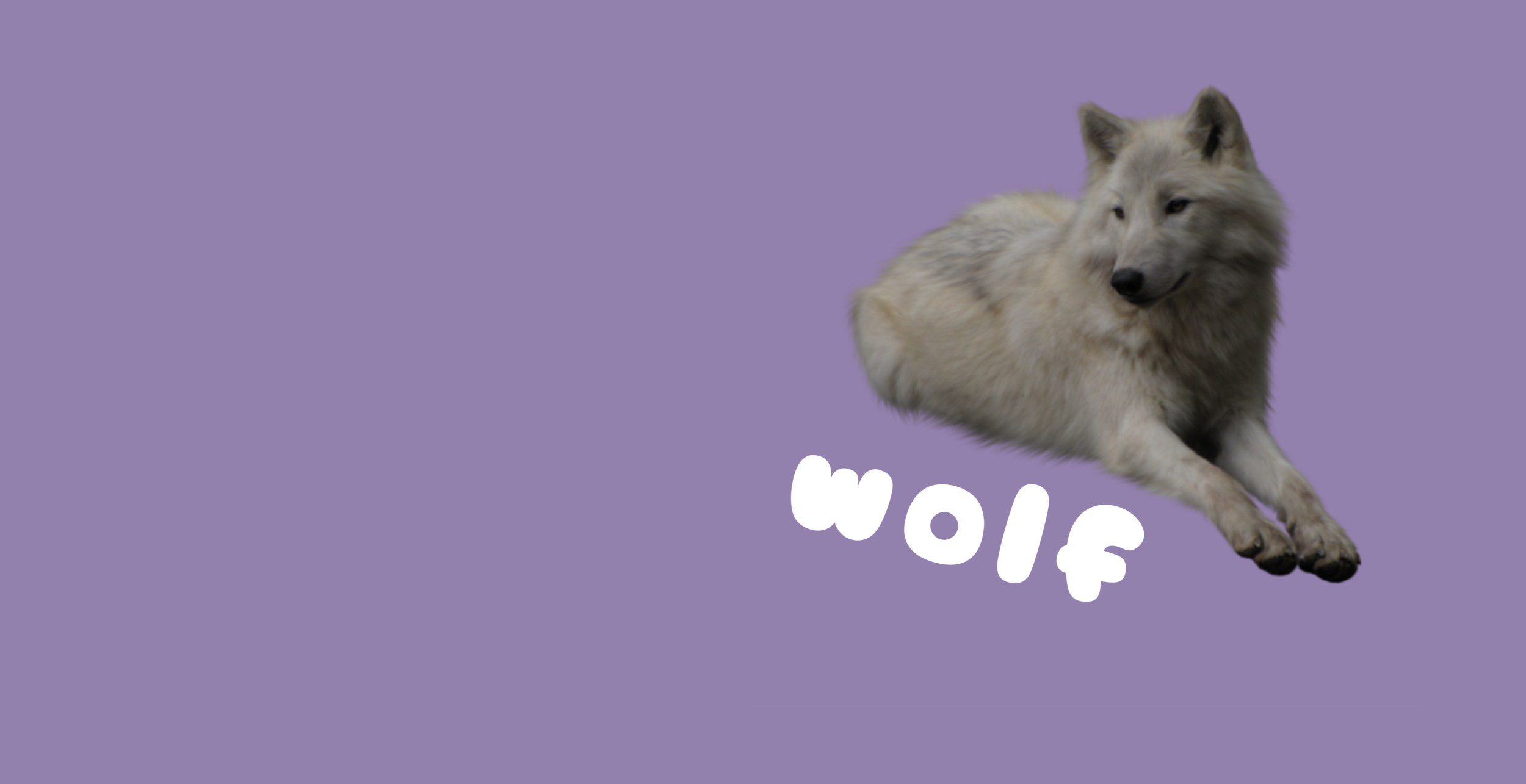 WolfSkateboards