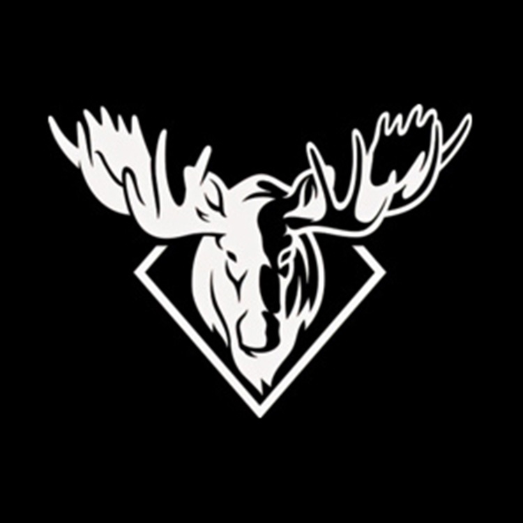 A MOOSE ON DA LOOSE | Custom Boards