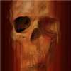 Skull 002