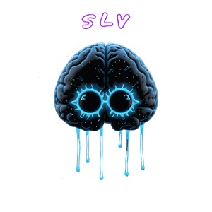 SLV Accessories