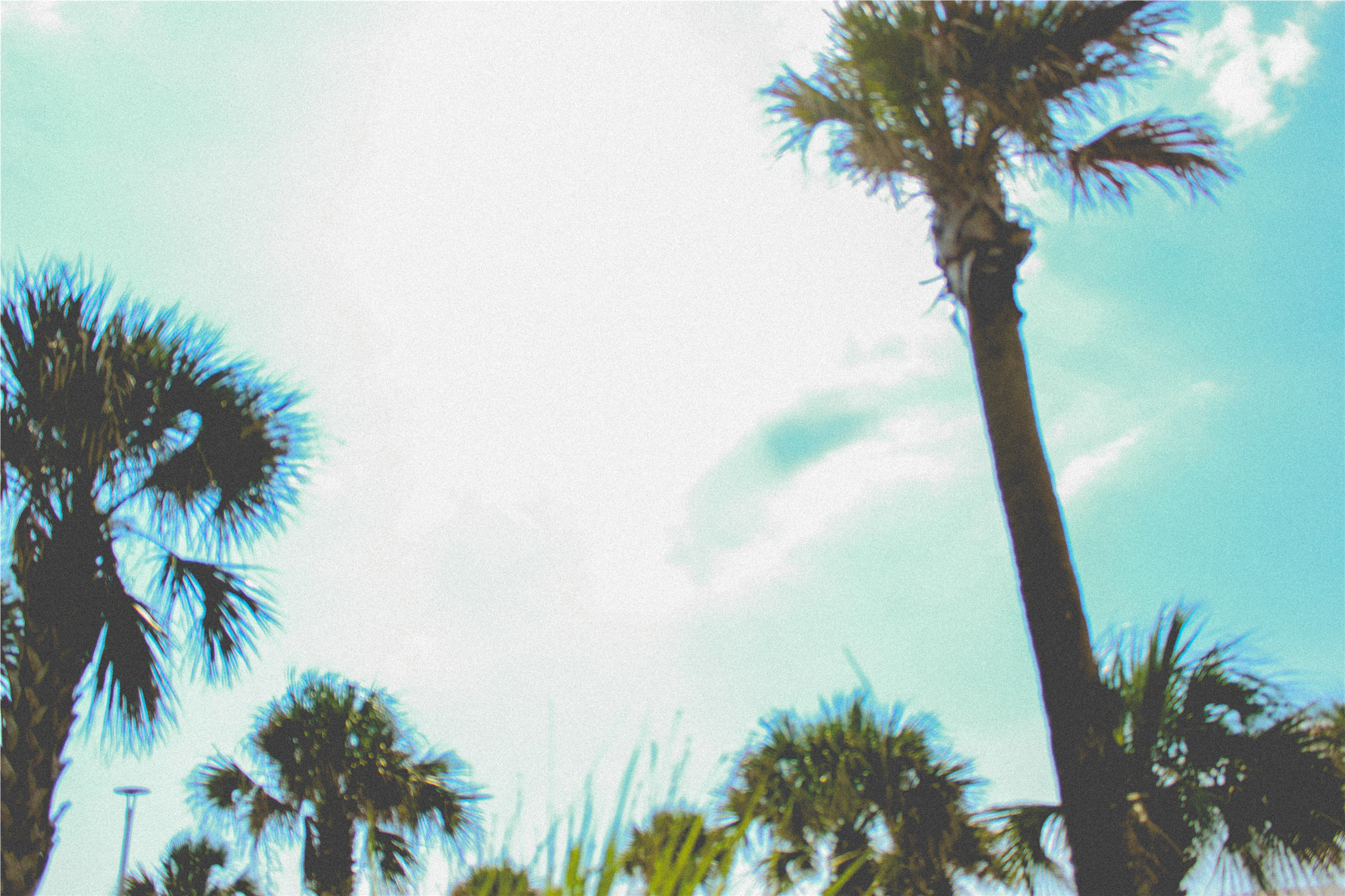 12Eleven Records Skate