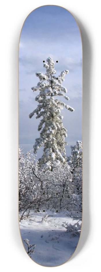 Snowy Tree 8 Inch Skateboard Deck