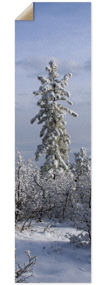 Snowy Tree 9 x 33 Inch Griptape