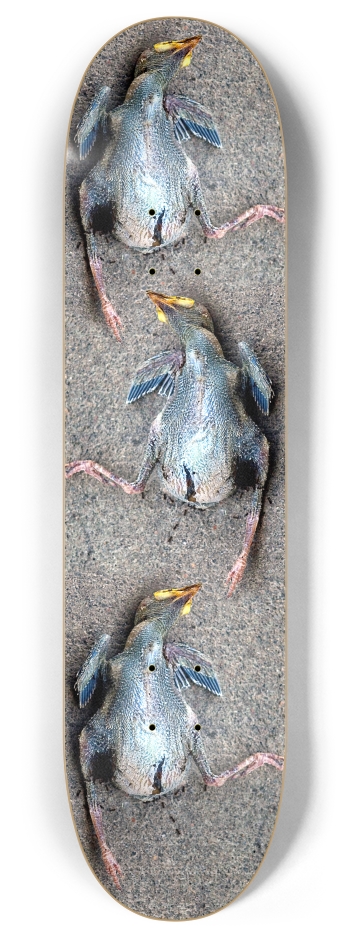 dead baby bird 8 Inch Skateboard Deck