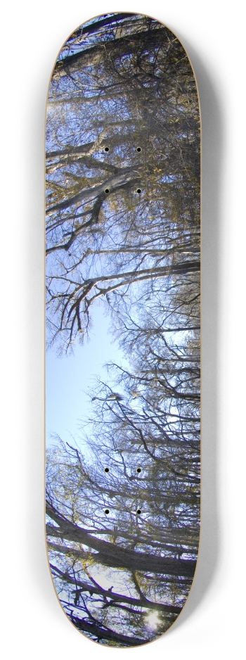 Trees 2 8 Inch Skateboard Deck