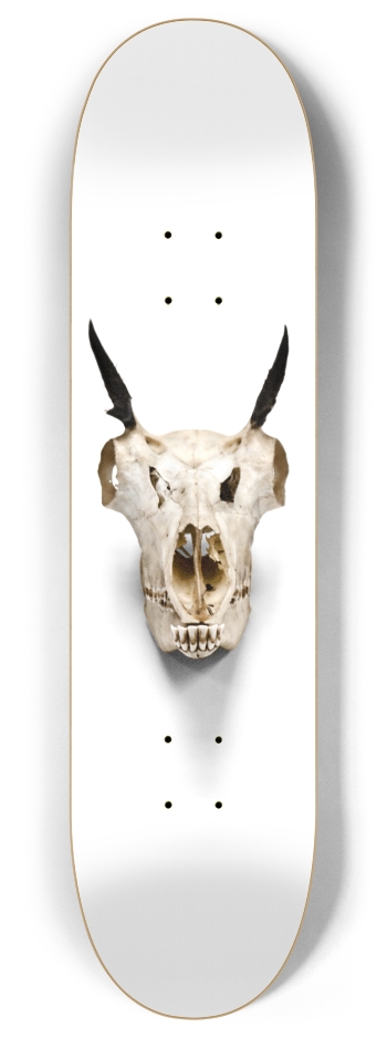goat skull straight on 8 Inch Skateboard Deck