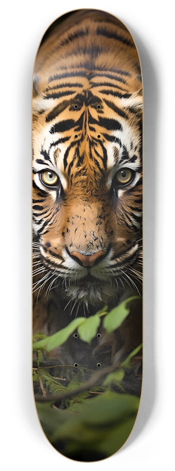 Crouching Tiger 8 Inch Skateboard Deck